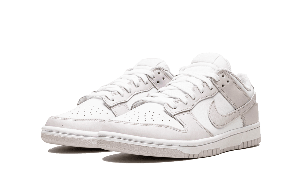 Nike Dunk Low Venice